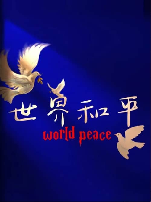 集团董事长陈伟其：构建韧劲系统——从印巴冲突说开